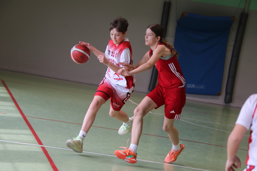 Elbasket: trzy dni emocji pod koszem zdjęcie nr 345445