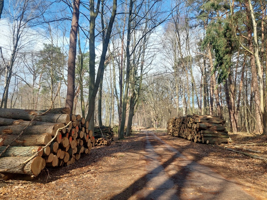 Czytelnik: szlak do plaży bez drzew zdjęcie nr 346019
