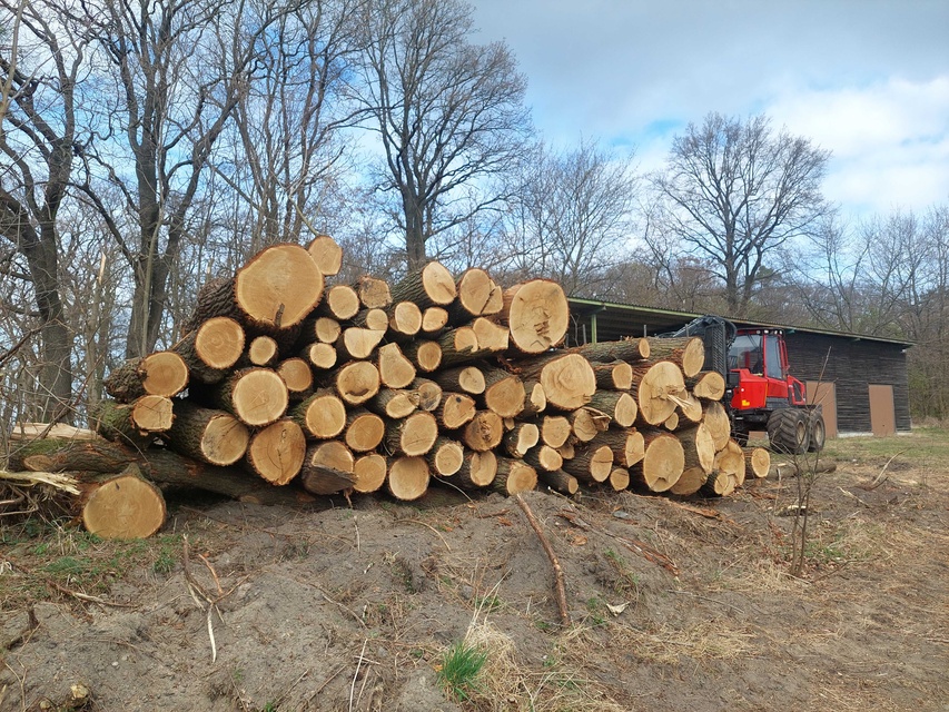 Czytelnik: szlak do plaży bez drzew zdjęcie nr 346025