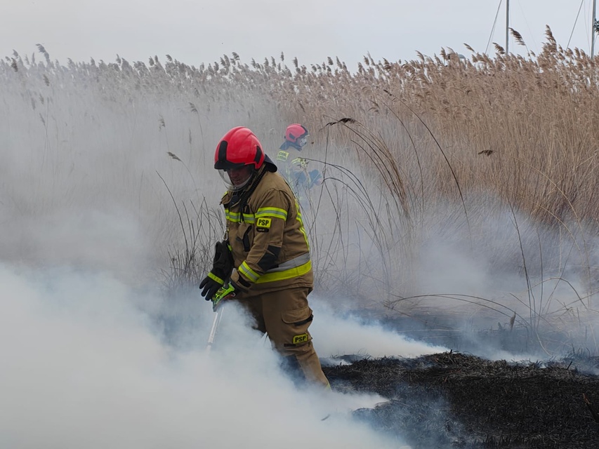 Kolejny pożar trzcinowiska zdjęcie nr 346081