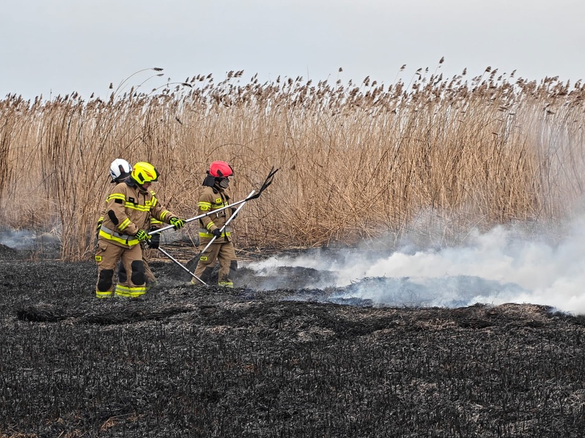 Kolejny pożar trzcinowiska zdjęcie nr 346079
