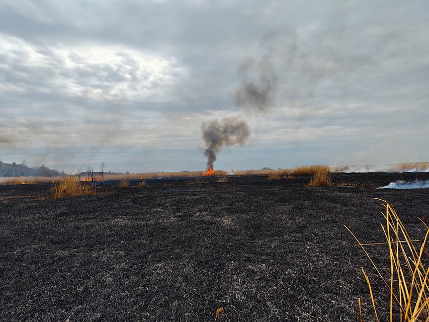 Kolejny pożar trzcinowiska zdjęcie nr 346077