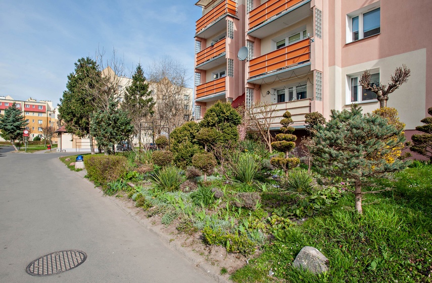 Mieszkańcy: Pielęgnowaliśmy to trzydzieści lat, teraz spółdzielnia każe wszystko usunąć zdjęcie nr 346331