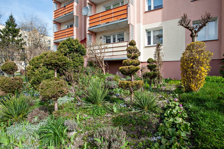 Mieszkańcy: Pielęgnowaliśmy to trzydzieści lat, teraz spółdzielnia każe wszystko usunąć zdjęcie nr 346327