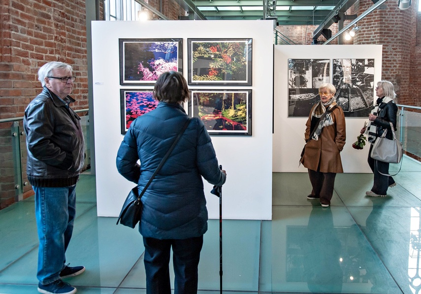 Absolwenci zaprezentowali swoją twórczość zdjęcie nr 346485