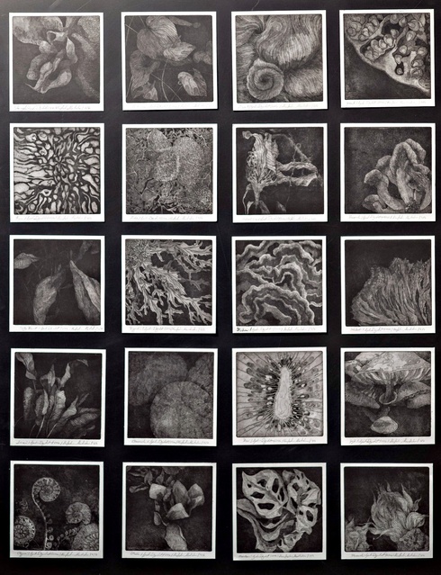 Absolwenci zaprezentowali swoją twórczość zdjęcie nr 346476