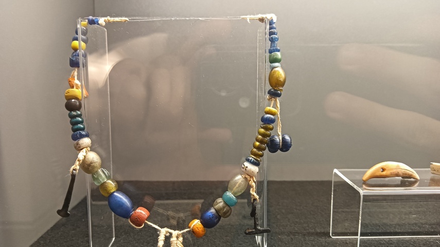 Truso reaktywacja zdjęcie nr 346565