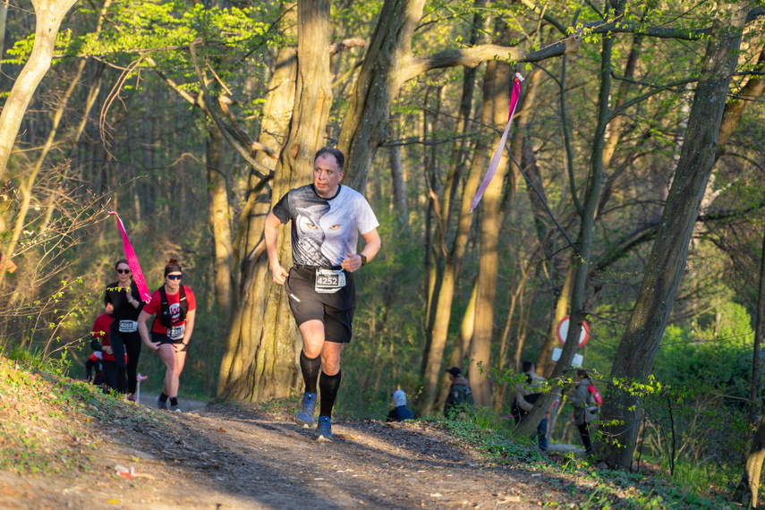 Meble Wójcik Ultra Wysoczyzna - Huk Sowy i start w Tolkmicku zdjęcie nr 346585