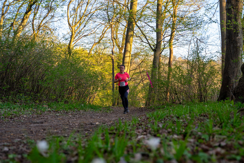 Meble Wójcik Ultra Wysoczyzna - Huk Sowy i start w Tolkmicku zdjęcie nr 346581