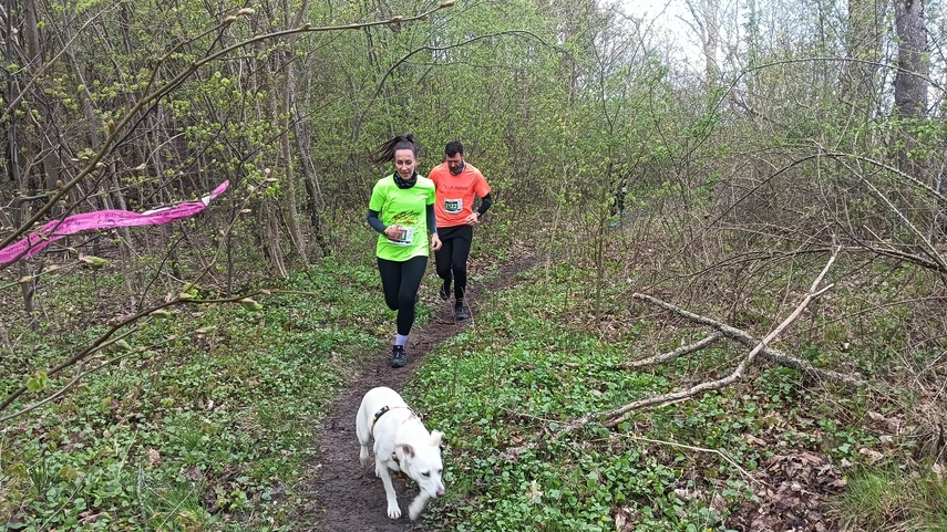 Ostatni dzień Ultra Wysoczyzny zdjęcie nr 346798