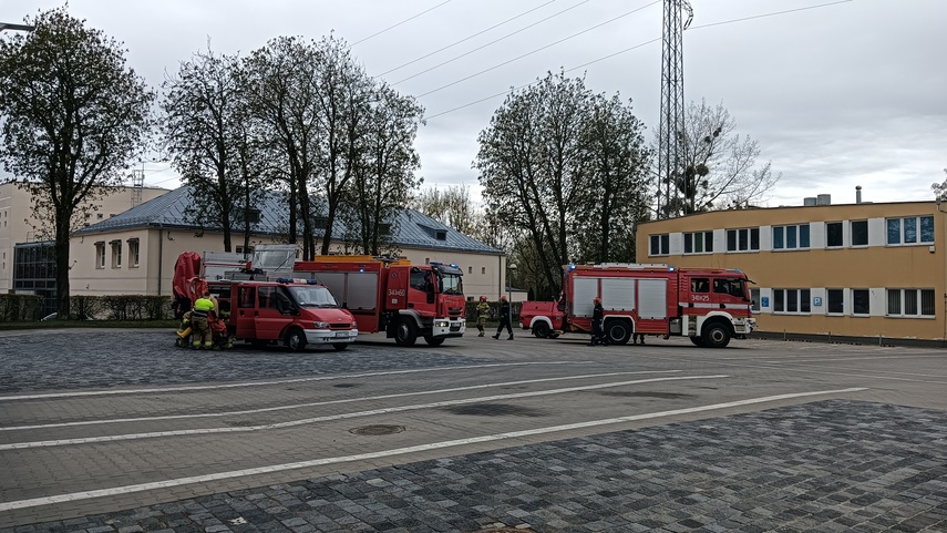 Ćwiczenia „Elbląg 2026”, „Truso 2026” zdjęcie nr 346954