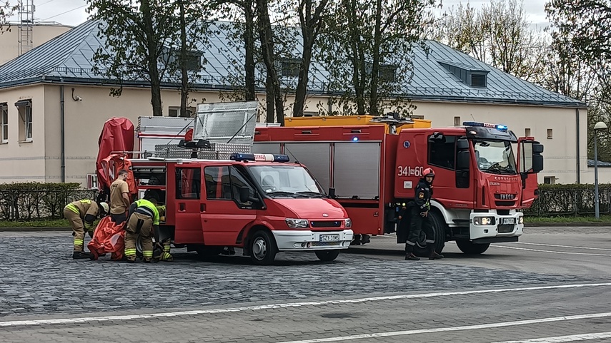 Ćwiczenia „Elbląg 2026”, „Truso 2026” zdjęcie nr 346955