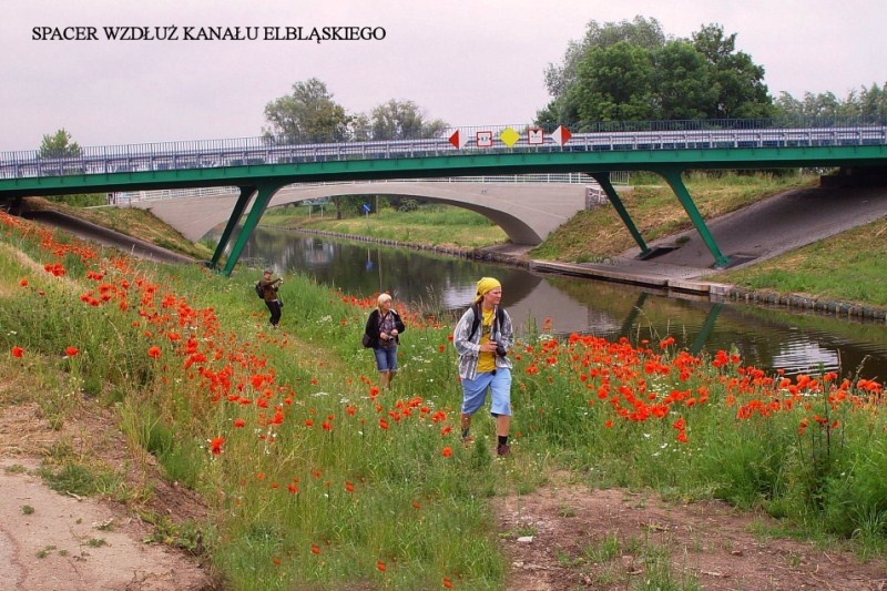 Wycieczka nad kanał (w obiektywie Henryka Myślińskiego) zdjęcie nr 347463