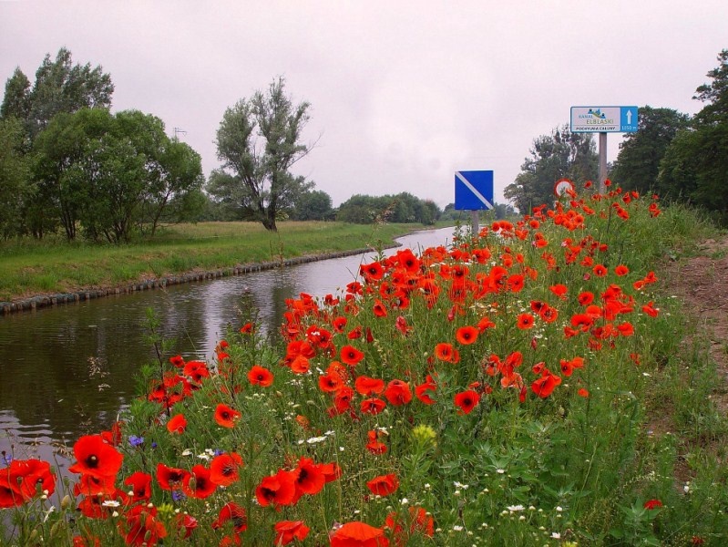Wycieczka nad kanał (w obiektywie Henryka Myślińskiego) zdjęcie nr 347464