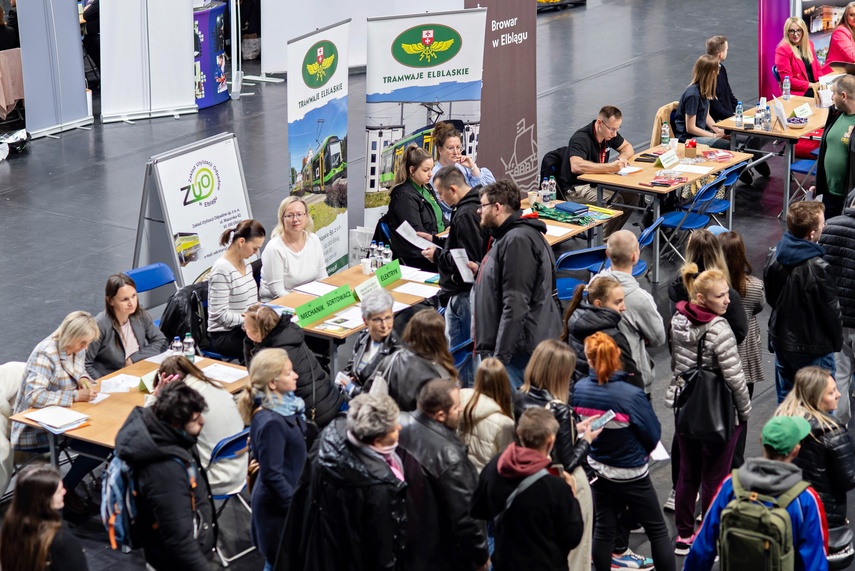Szukali pracy i pracowników zdjęcie nr 347727