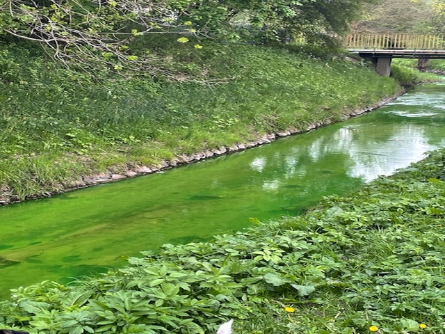 Awaria w EPEC i zielona Kumiela zdjęcie nr 347798