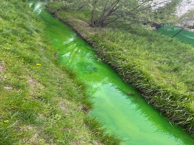 Awaria w EPEC i zielona Kumiela zdjęcie nr 347796