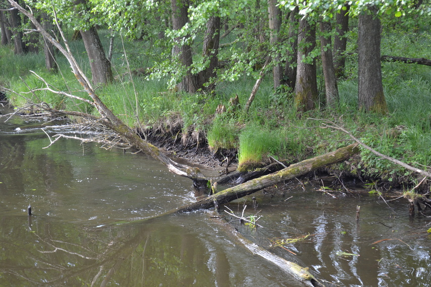 Płynąłem najdłuższą trasą śródlądową w Polsce zdjęcie nr 348539