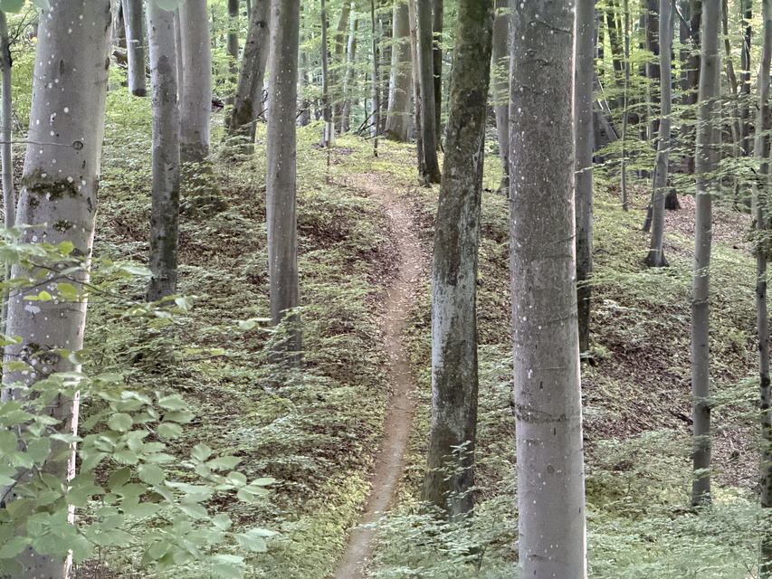 Rowerem na elbląski Bikepark zdjęcie nr 348738