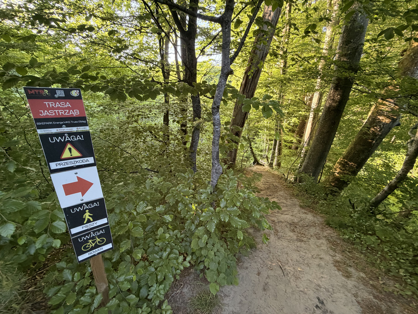 Rowerem na elbląski Bikepark zdjęcie nr 348740