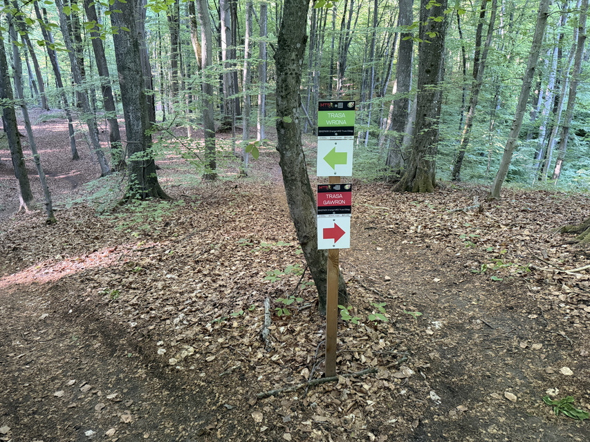 Rowerem na elbląski Bikepark zdjęcie nr 348736