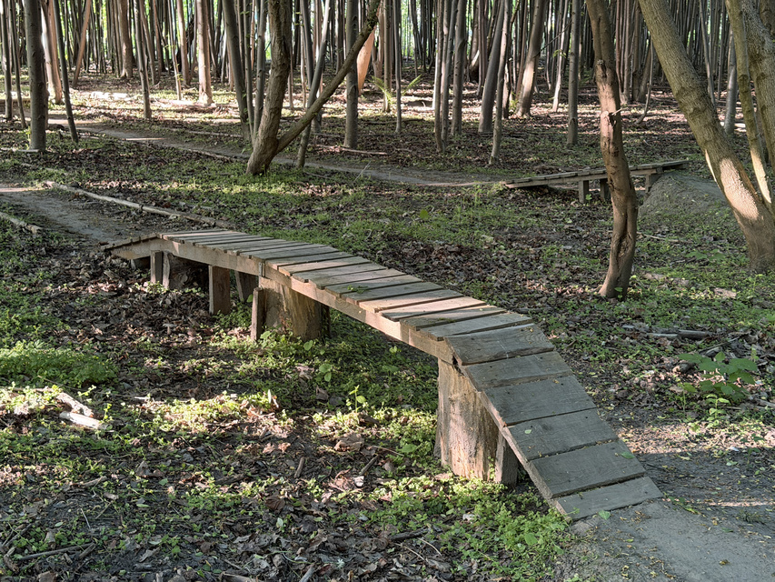 Rowerem na elbląski Bikepark zdjęcie nr 348743
