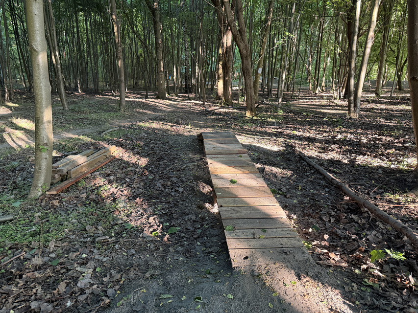Rowerem na elbląski Bikepark zdjęcie nr 348742