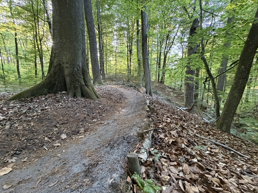 Rowerem na elbląski Bikepark zdjęcie nr 348737