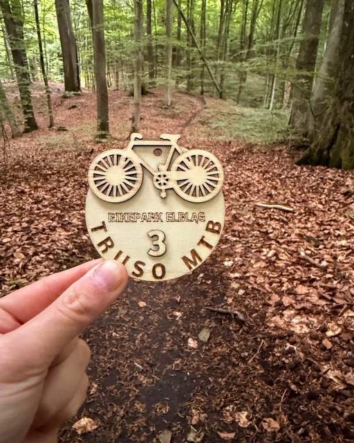Wyjątkowe statuetki zawodów Truso MTB zdjęcie nr 349266