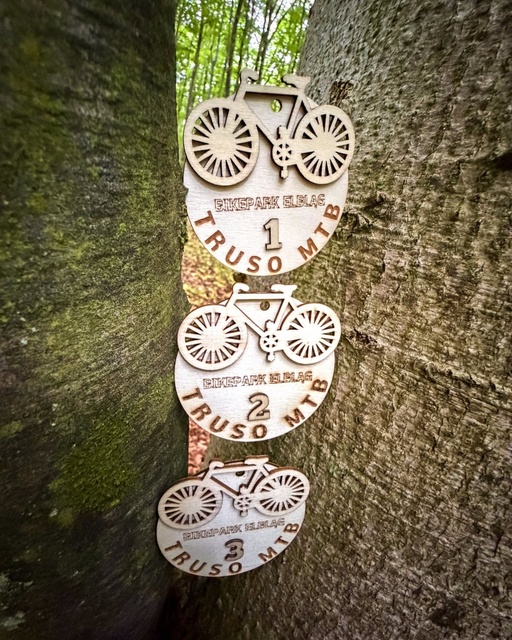 Wyjątkowe statuetki zawodów Truso MTB zdjęcie nr 349264