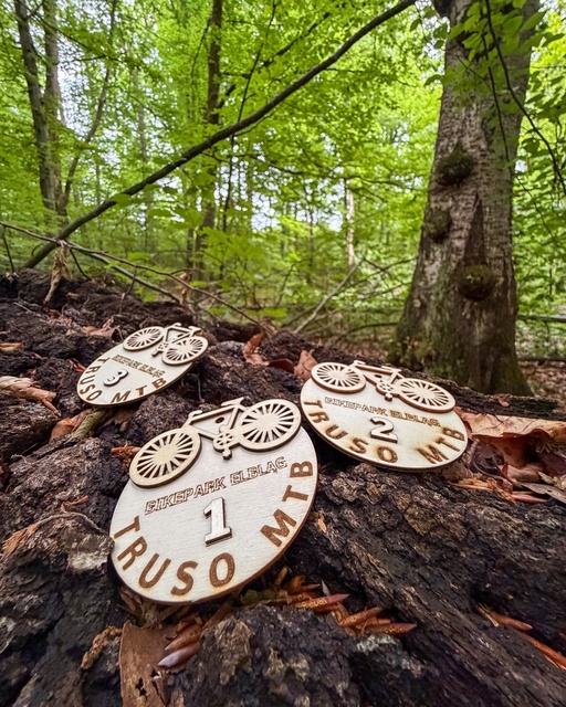 Wyjątkowe statuetki zawodów Truso MTB zdjęcie nr 349263