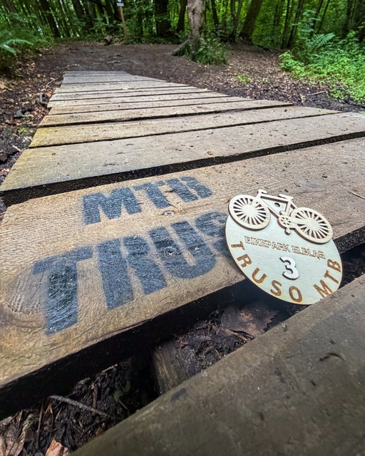 Wyjątkowe statuetki zawodów Truso MTB zdjęcie nr 349269