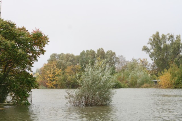 Podtopienie Panieńskiej zdjęcie nr 28301