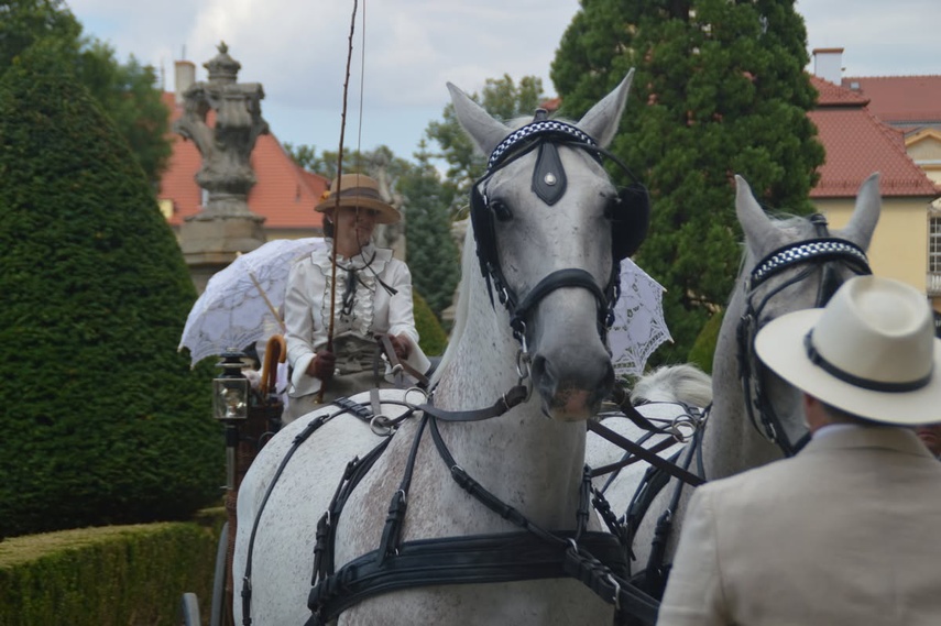 Zdobyła wicemistrzostwo Polski w tradycyjnym powożeniu zdjęcie nr 351687