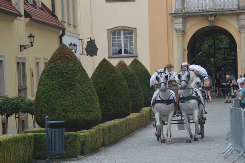 Zdobyła wicemistrzostwo Polski w tradycyjnym powożeniu zdjęcie nr 351682