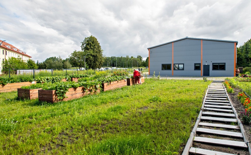 ogród społeczny zdjęcie nr 351773