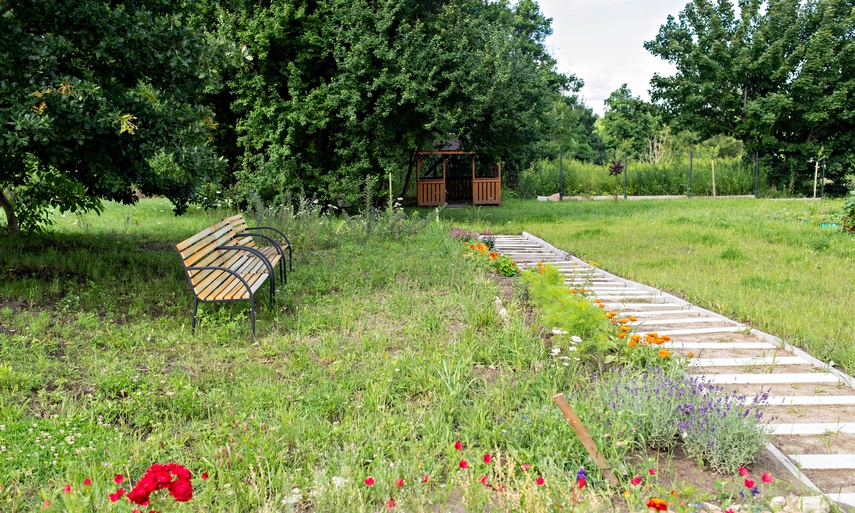 ogród społeczny zdjęcie nr 351780