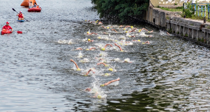 Triathlonowe Mistrzostwa Europy w Elblągu wystartowały zdjęcie nr 351834