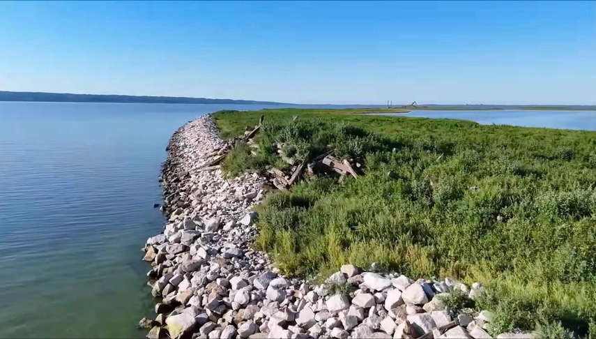 Już zielono na Wyspie Estyjskiej zdjęcie nr 352267