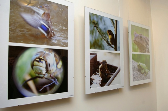 Elbląg Galeria fotografii