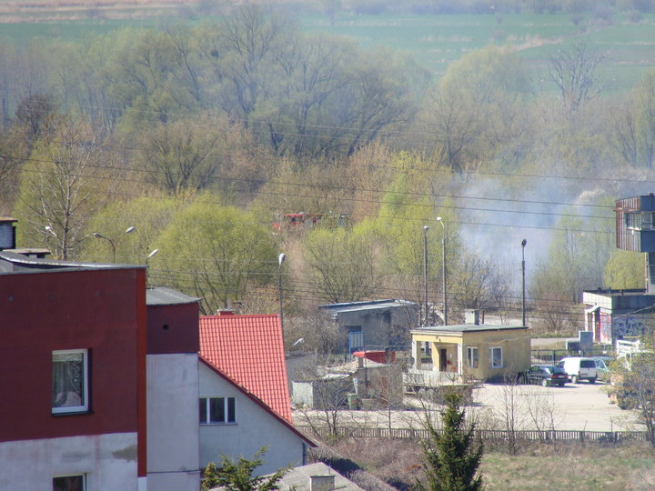 Łąki znów płoną zdjęcie nr 34215