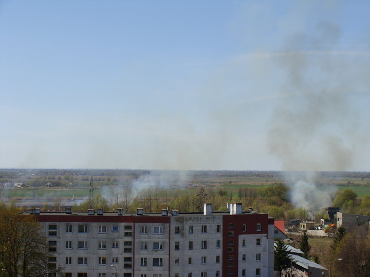Elbląg Łąki znów płoną