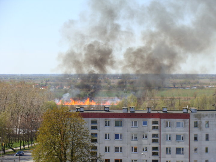 Łąki znów płoną zdjęcie nr 34197