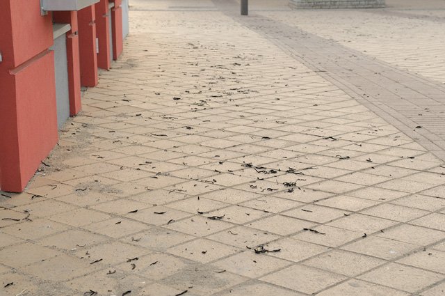 Pożar przy Skrzydlatej zdjęcie nr 34222