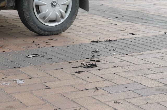 Pożar przy Skrzydlatej zdjęcie nr 34217