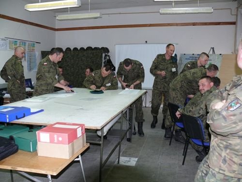 Dzik na orzyskim poligonie zdjęcie nr 34846