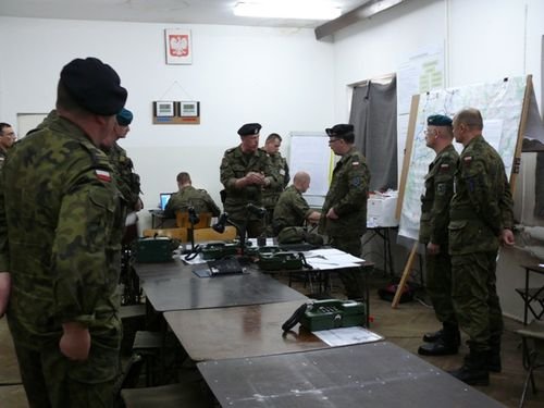 Dzik na orzyskim poligonie zdjęcie nr 34847
