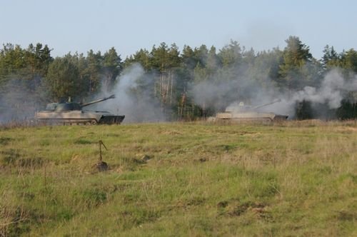 Dzik na orzyskim poligonie zdjęcie nr 34844