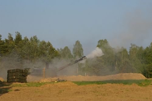 Dzik na orzyskim poligonie zdjęcie nr 34843