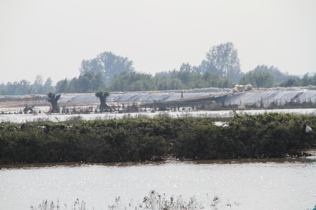 Byli TAM z darami zdjęcie nr 36146